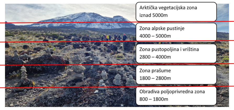 Kilimanjaro vegetacijske zone